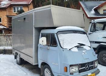 Mercedes 306 D przewóz koni