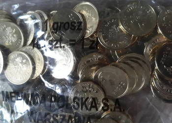 1 Grosz x 100 szt. 2020 r-menniczy woreczek