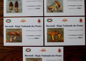 Burundi grzyby