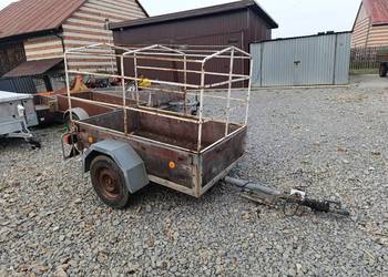 Barthau p800