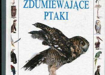 Zdumiewające ptaki