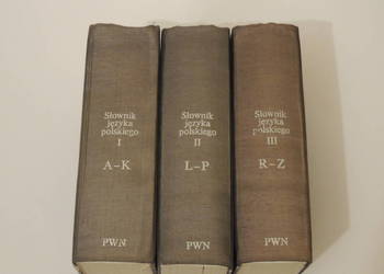 Słownik języka polskiego PWN