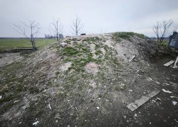 Oddam w zamian za usunięcie z dzialki