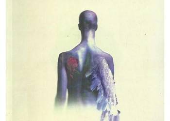 Poezja przeciw filozofii. Idea wyobraźni i krytyka rozumu w Poezja przeciw filozofii. Idea wyobraźni i krytyka rozumu w