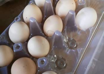 Wiejskie jaja od szczęśliwych kur wolny wybieg