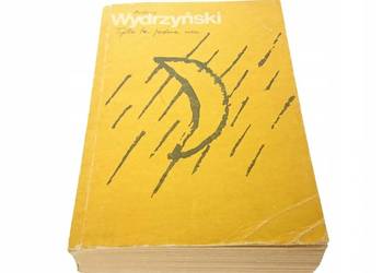 Tylko ta jedna noc - Andrzej Wydrzyński