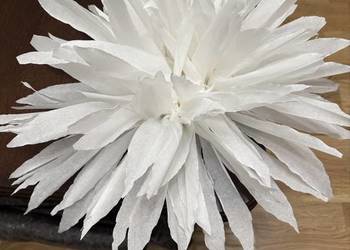 Wykonam kwiaty z bibuły