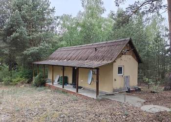 Syndyk sprzeda - Łacha