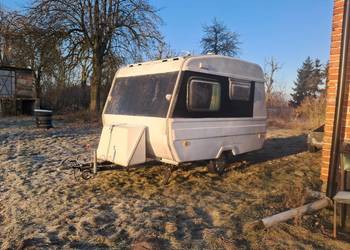 Przyczepa kempingowa niewiadów n126N