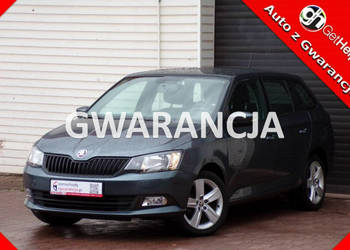 Škoda Fabia Klima / I właściciel /1,0 /95KM /2017r / III (2014-)