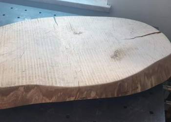 Plaster dębu