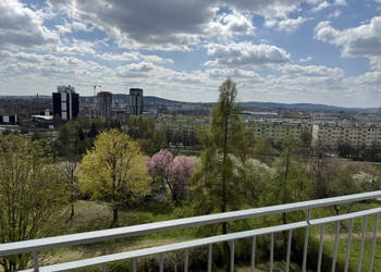 Panorama Kielc , widok na park
