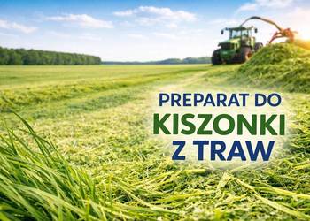 Biopuls Silorex T – preparat do kiszonki z traw, zielonek | Karton 30x250 g