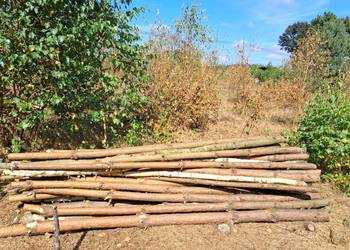 Słupki drewniane dł. 255 cm.