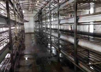 Regaly i wyposażenie pieczerkarni