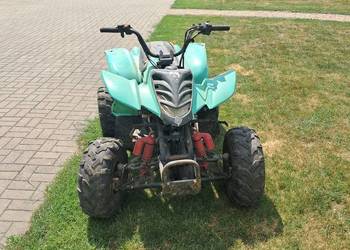 Quad bashan 125