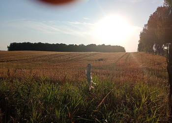Działka rolno-leśna, blisko jezioro