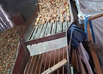 Obcinaczka obcinarka do cebuli 8 wałkowa