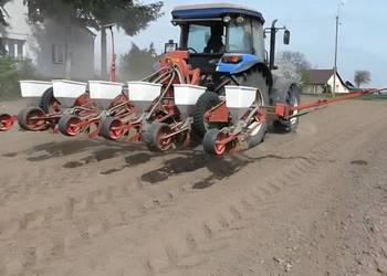 Siewnik pneunatyczny 6-rzędowy do kukurudzy fasoli OMEGA KUTNO mało używany