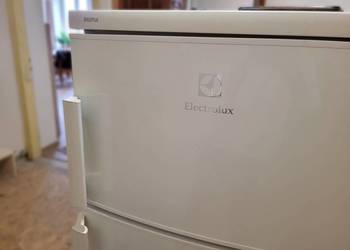 Lodówko-zamrażarka Electrolux