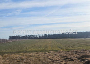 Działka 4500m2 Polik