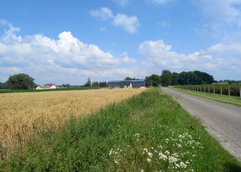 Sprzedam działkę rolno-budowlaną w okolicy Płońska.