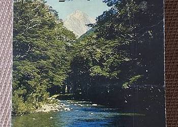 kalendarz zrywany 2005 rok