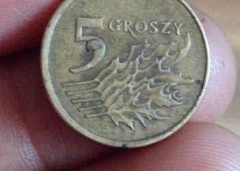Sprzedam monete 5 groszy 1999 r Sprzedam monete 5 groszy 1999 r