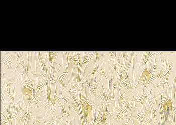 Dekor Chic Stone 1 wymiar 33,3 x 60, Tubądzin, płytki, kafelki, Chicstone