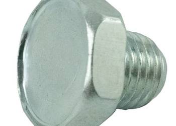 Śruba M10 x 1.5 / LS MT1.25 / LS XJ25 / TRG400 / 40206416