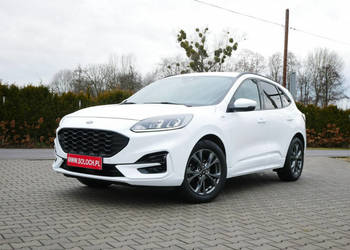 Ford Kuga 1.5 EcoBlue 120KM Eu6 St-Line -Automat 8b. - Zobacz III (2019-)