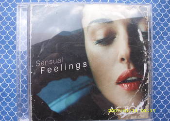 $ PLYTA CD.; SENSUAL FEELINGS; ART COM COMPILATION.