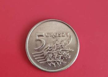 5 groszy 1993r. W kapslu ochronnym.