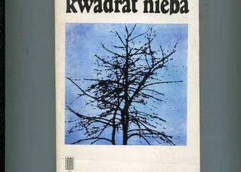 Kwadrat nieba - Marie Jose le Caplin