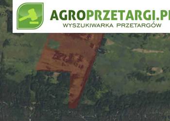 Dzierżawa 240,44 ha gruntu rolnego