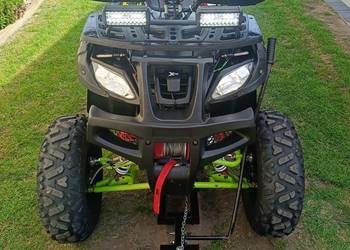 Quad 250 1+1 z wyciągarką i pługiem.