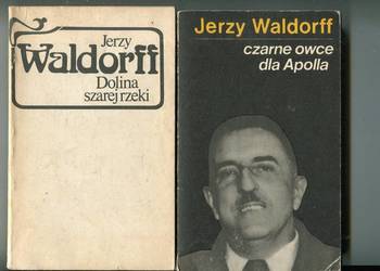 Czarne owce dla Apolla , Dolina szarej rzeki - Jerzy Waldorff