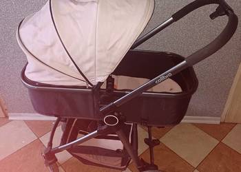 Wózek dzieciecy colibro ONEMAX