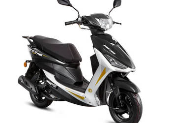 Barton Scalpel 50cc Nowy! Salon! Gwarancja! czarny