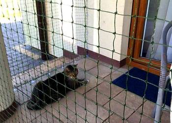 Bezinwazyjny Montaż siatki zabezpieczającej na balkonie bez wiercenia Bezinwazyjny Montaż siatki zabezpieczającej na balkonie bez wiercenia