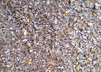 pasza dla kur niosek