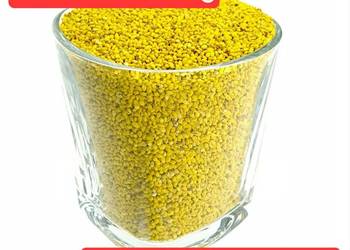 lucerna SUPER nasiona extra PIERWSZA KLASA od producenta sprawdzone DAKOTA