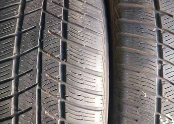 Opony Polaris baum zimowe 205 55 16