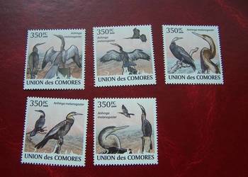 Komory 2009 MNH Fauna Ptaki Kormorany 5v set