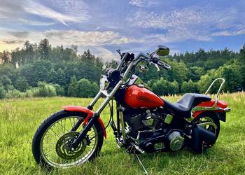 Harley Softail Standard 2004