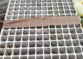 Paletki multiplaty multipaletki 228