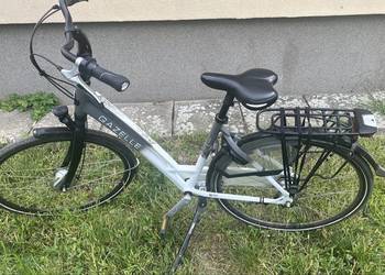 Rower Gazelle Chamonix C7