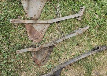 Redlice siewnik Poznaniak