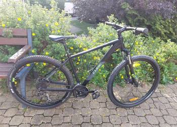 Cube AIM 29" rama L