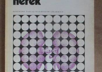 Patomorfologia nerek  - S.Kruś / medycyna / interna / nerki Patomorfologia nerek  - S.Kruś / medycyna / interna / nerki